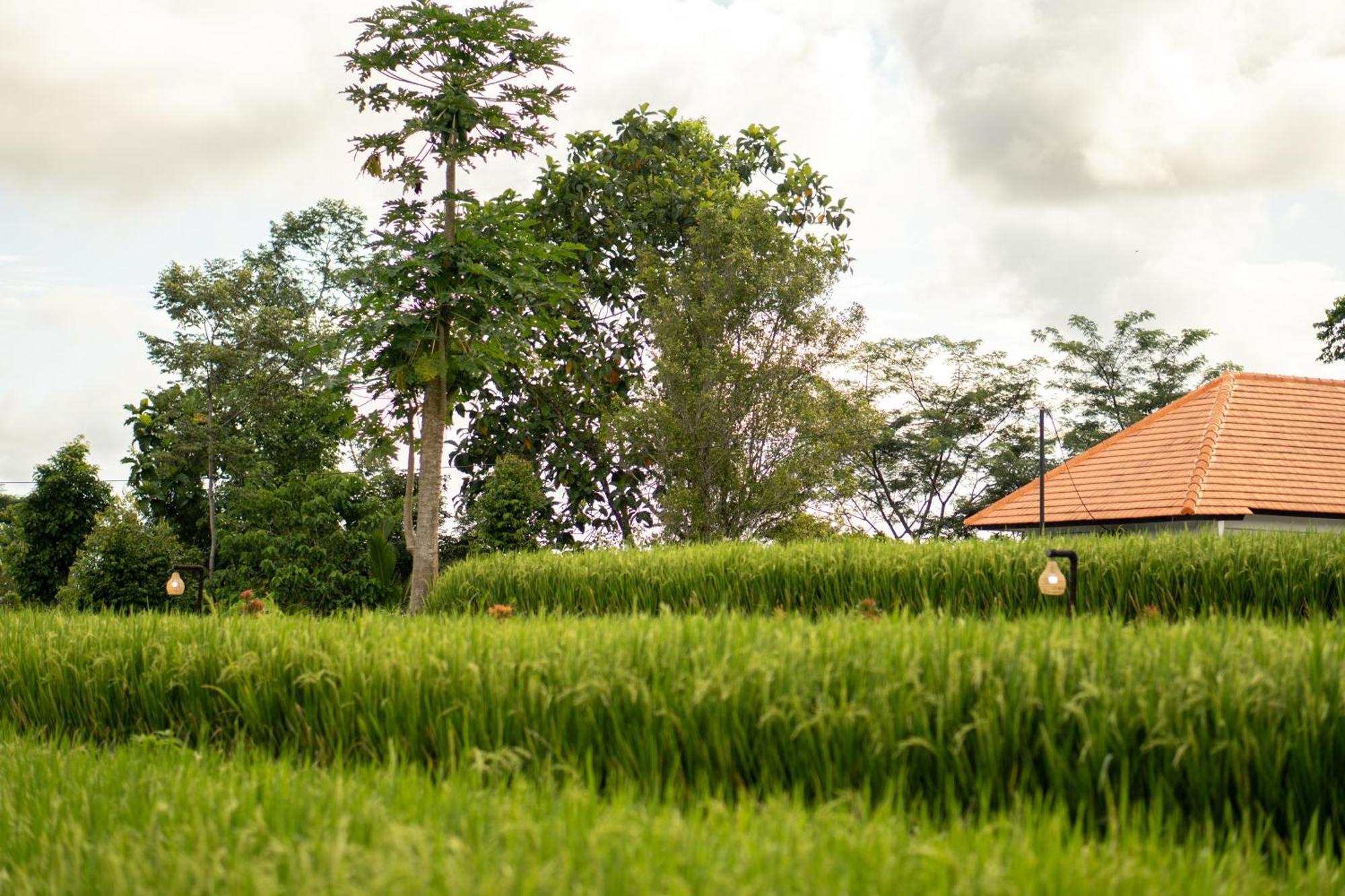 The Ume Sidemen Villas Ngoại thất bức ảnh